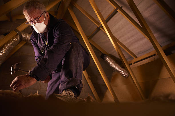 Best Professional Insulation Contractor  in Glencoe, IL